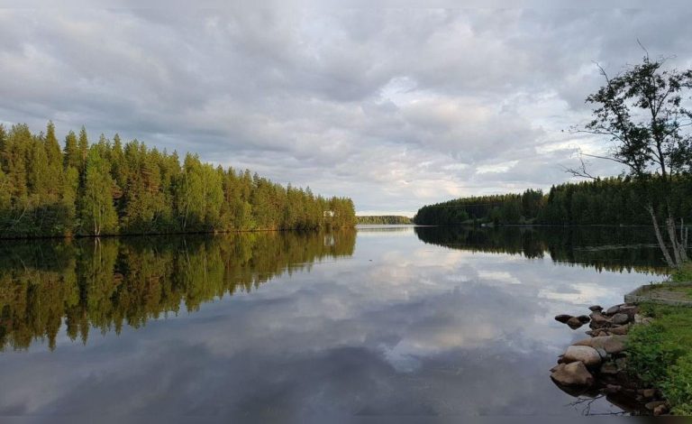 featured image